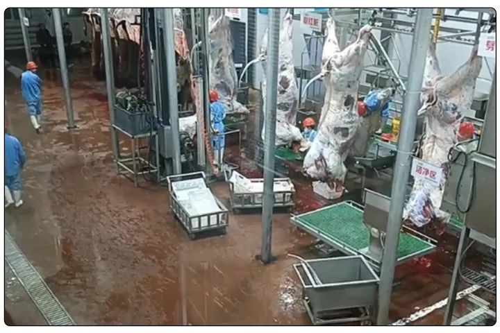 屠宰工廠惡臭影響周邊,使用除臭劑有什么注意要點?